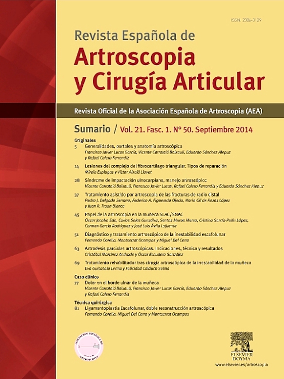 Go to journal home page - Revista Española de Artroscopia y Cirugía Articular